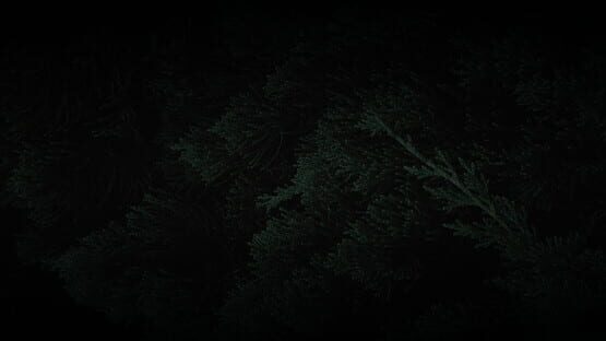 Mir gameplay screenshot