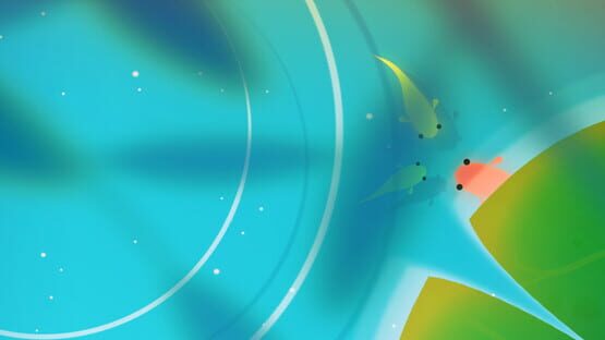 Koi backdrop