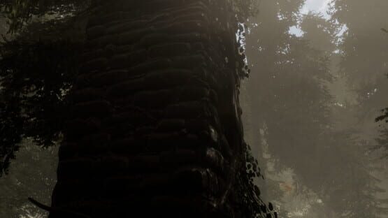 The Woods: VR Escape the Room gameplay screenshot