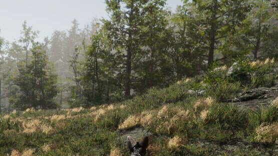 Subdivided gameplay screenshot