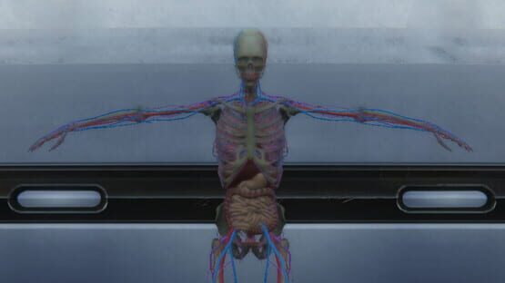 Ren Ti Tu Pu gameplay screenshot