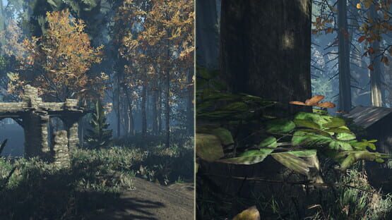 Duty on Forest official artwork 1