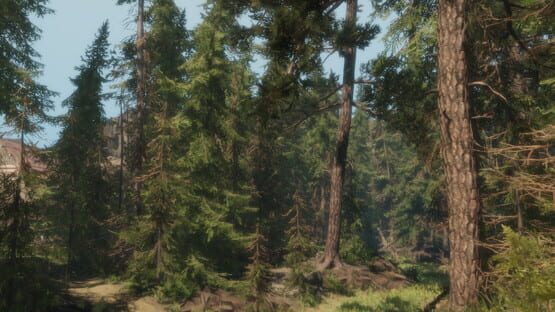 A Walk in the Woods official artwork 1