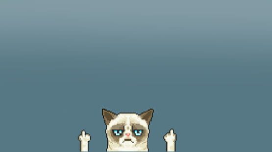Puzzle Angry Cat official artwork 1