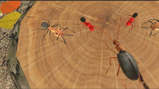 Insect: Bombardier beetle gameplay screenshot
