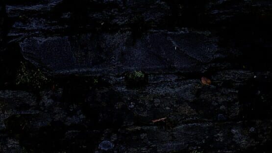 Heart of Dungeon screenshot 3