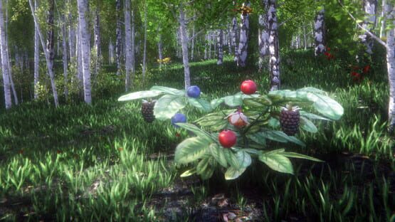 Berries Challenge official artwork 1