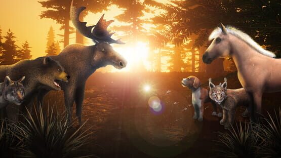 Zoo World VR backdrop