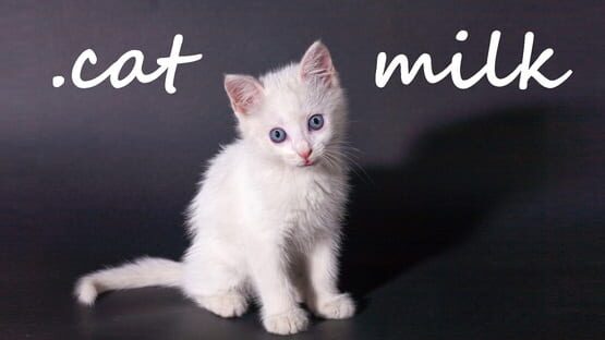 Cat Milk gameplay screenshot