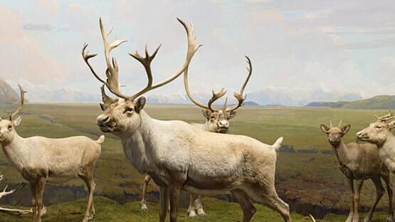 Beyond the Diorama: Caribou World gameplay screenshot