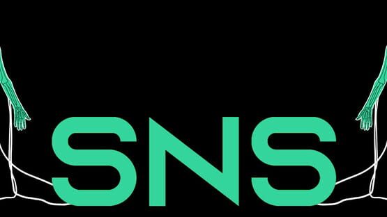 SNS gameplay screenshot