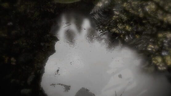 Reflecting Fate screenshot 5