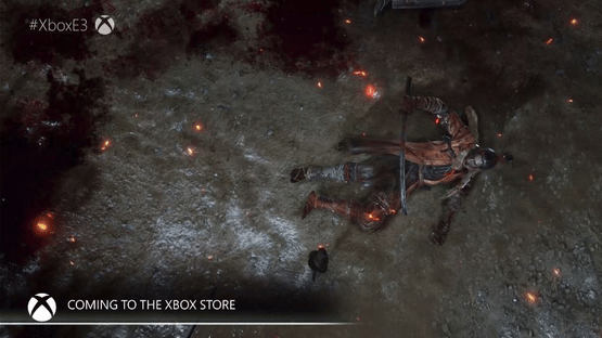 Sekiro: Shadows Die Twice - Collector's Edition Screenshot