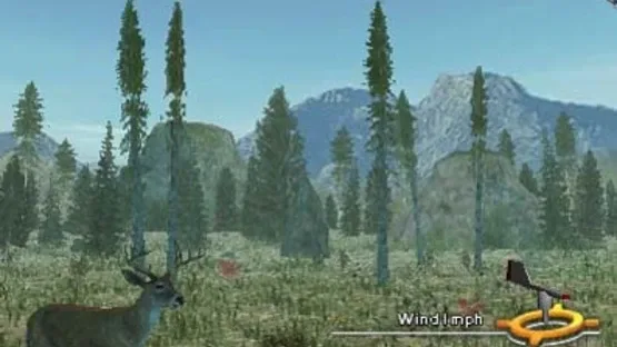 Thumbnail 12
