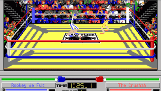 4D Sports Boxing Screenshot