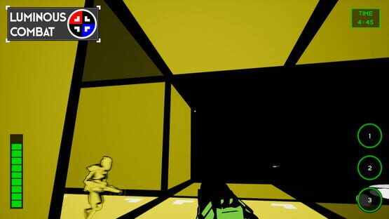 Luminous Combat cover