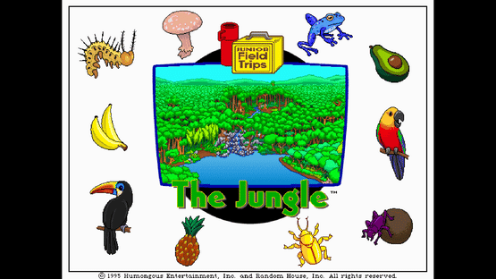 Let's Explore the Jungle Screenshot