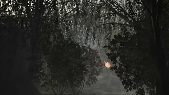 Thumbnail 10