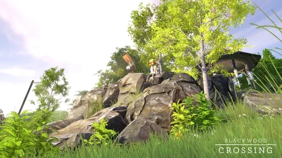 Thumbnail 9