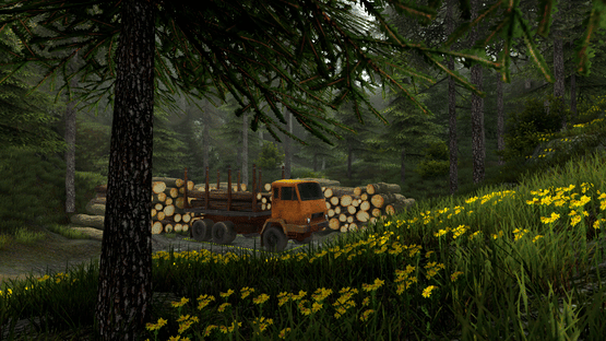 Professional Offroad Transport Simulator Screenshot