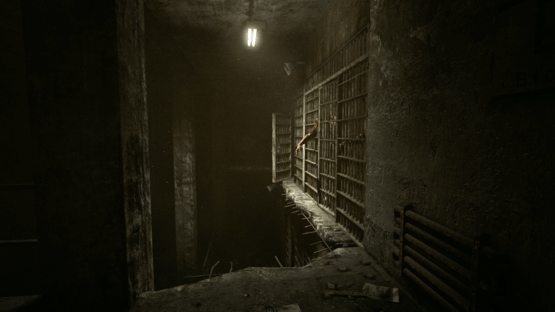 Outlast: Bundle of Terror Screenshot