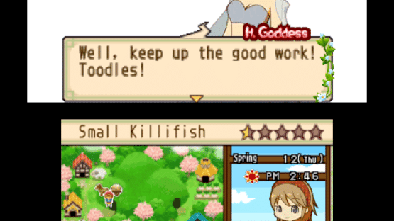 Harvest Moon: The Tale of Two Towns Screenshot