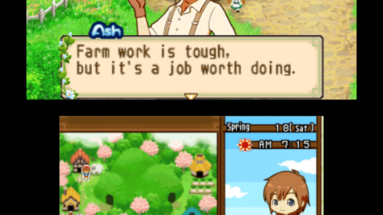 Harvest Moon: The Tale of Two Towns Screenshot