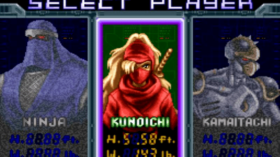 Ninja Warriors Screenshot