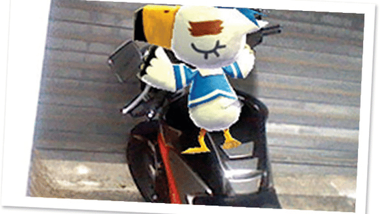 Photos with Animal Crossing Screenshot
