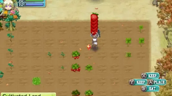 Rune Factory 4 screenshot 11