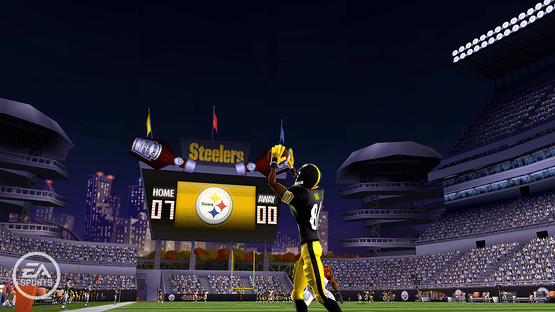 Madden NFL 10 Screenshot