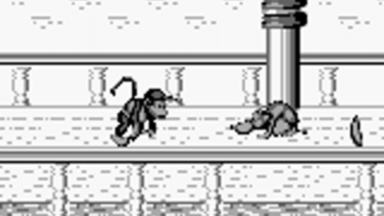 Donkey Kong Land 2 Screenshot