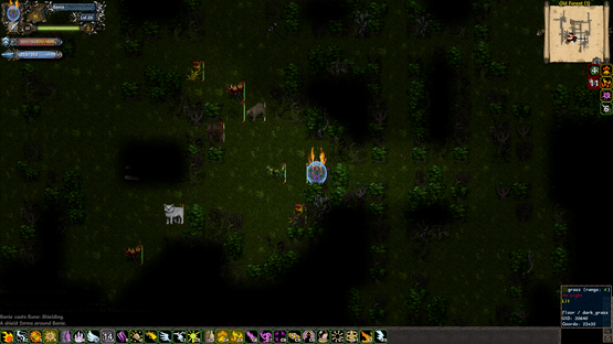 Tales of Maj'Eyal Screenshot