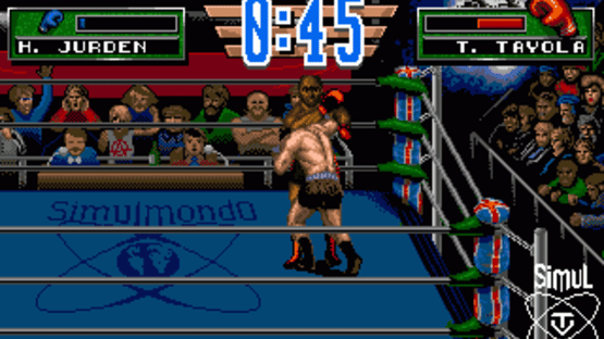 3D World Boxing Screenshot