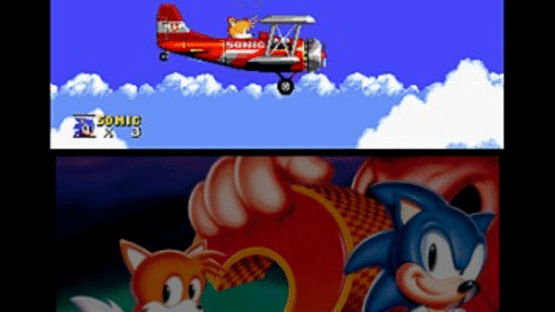 3D Sonic the Hedgehog 2 Screenshot