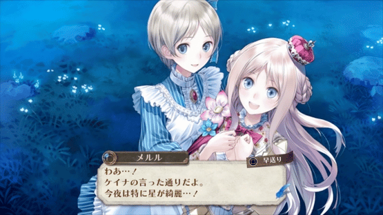 Atelier Meruru: The Apprentice of Arland DX Screenshot