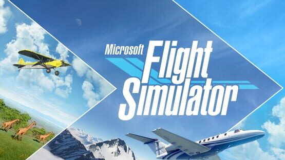 Microsoft Flight Simulator