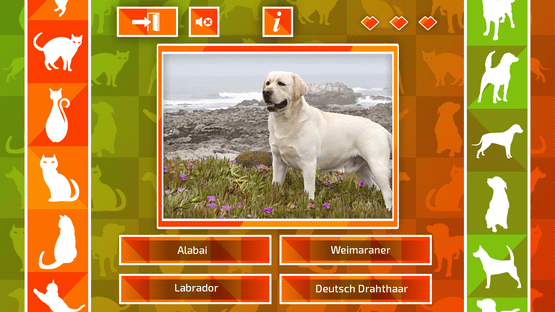 JQ: dogs & cats Screenshot