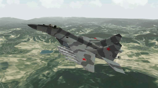 Flanker 2.5 Screenshot