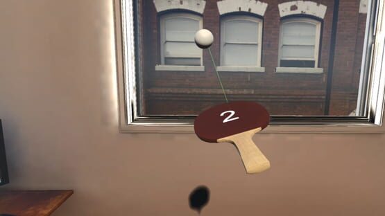 Xtreme Paddleball cover