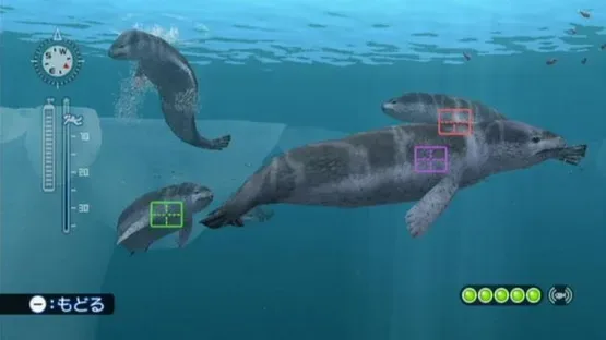 Endless Ocean: Blue World screenshot 12