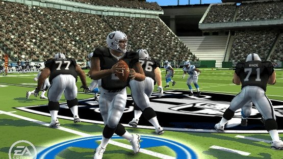 Madden NFL 09 Screenshot