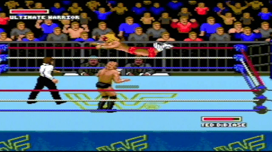 WWF: Super Wrestlemania Screenshot