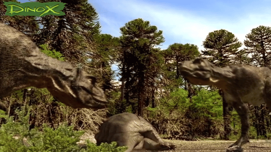 Dinox Screenshot