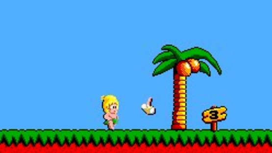 Wonder Boy Screenshot