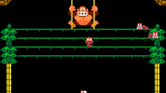 Donkey Kong 3 Screenshot