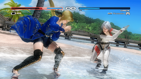 Dead or Alive 5 Plus Screenshot