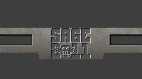 Image de couverture SAGE 2011
