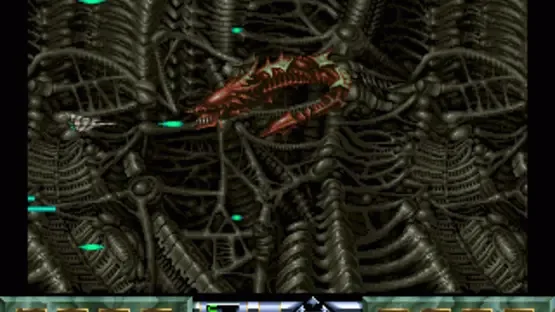 Carcharodon: White Sharks gameplay screenshot 1