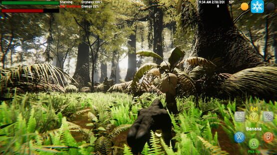 The Lonely Gorilla cover